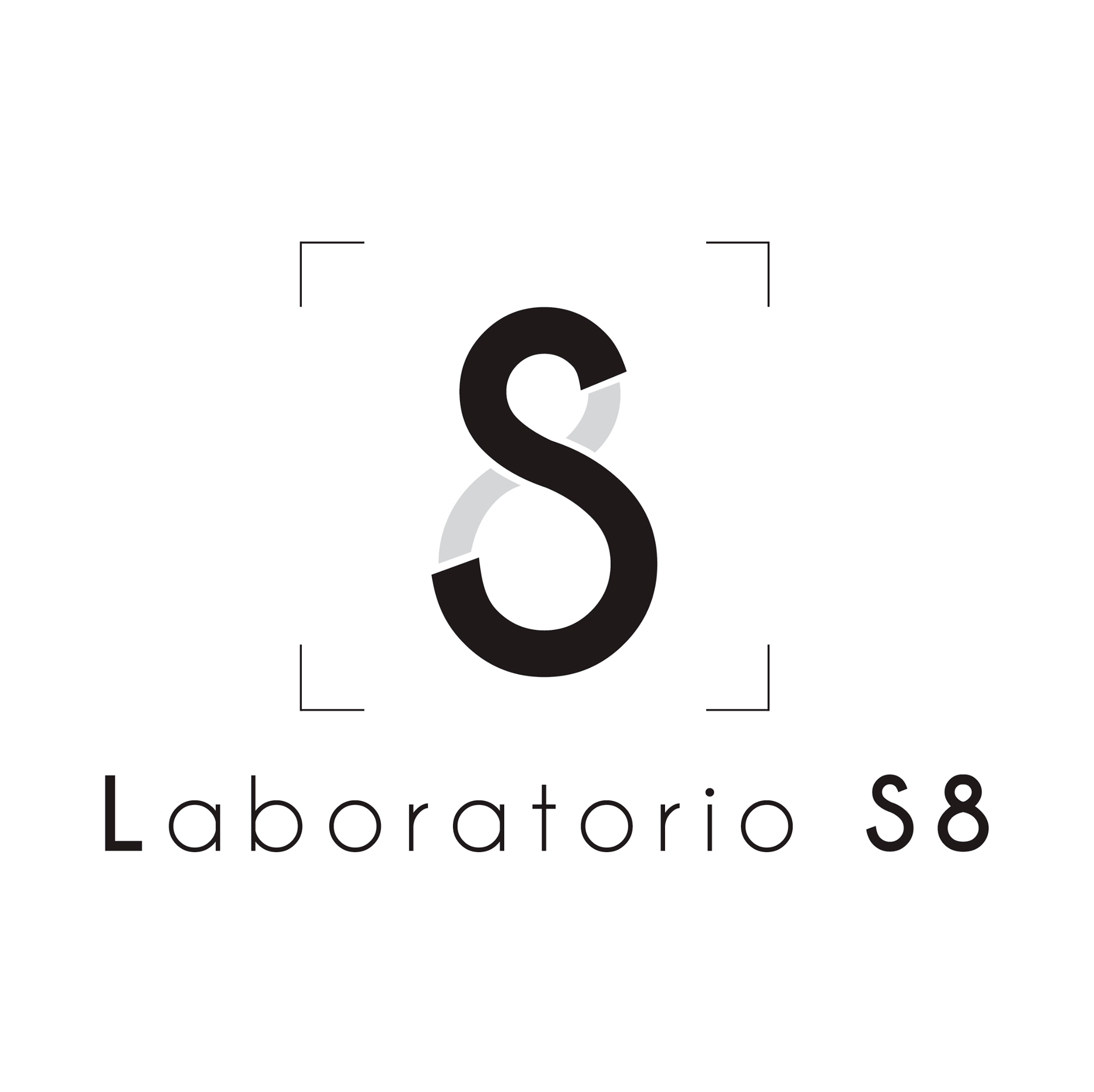 Laboratorio S8